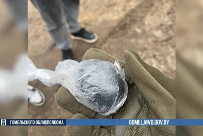 Жительница Чечерского района задержана за сбыт альфа-PVP: ей грозит до 20 лет лишения свободы